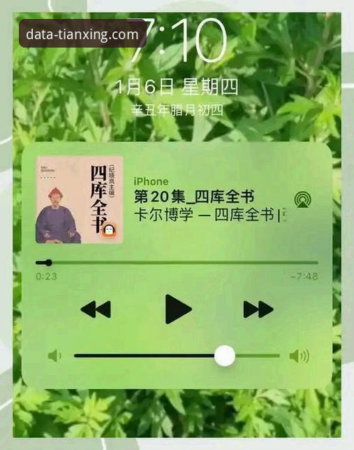 天行体育平台数据服务完整指南：从下载到深度分析的使用手册